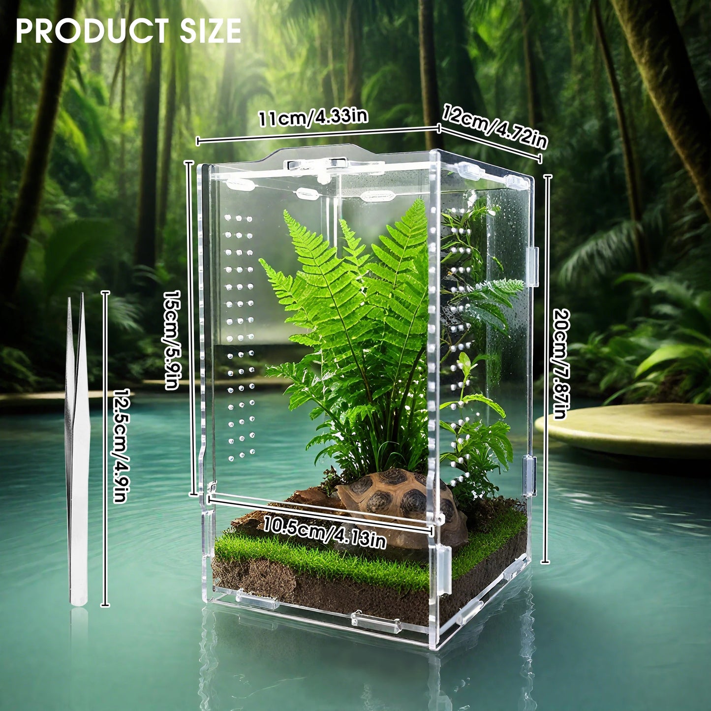 Acrylic Spider & Reptile Enclosure