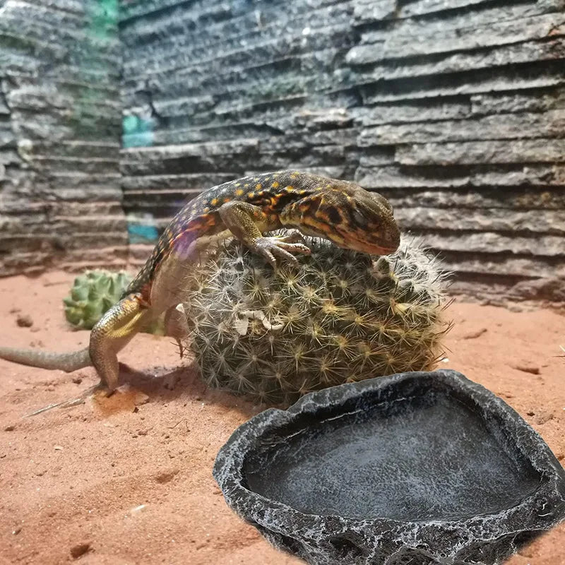 Corner Reptile Feeding Bowl – Food & Water Dish for Bearded Dragons, Geckos, Snakes & Other Reptiles
