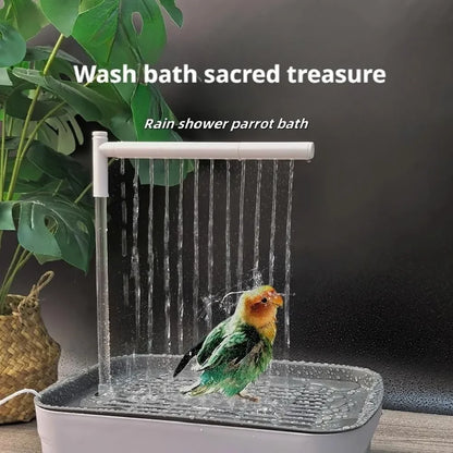 Automatic Parrot Bird Bath