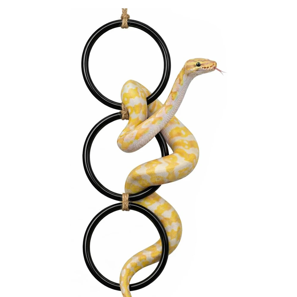 Snake Climbing Ring – Enrichment & Exercise Toy for Ball Pythons, Corn Snakes & Other Reptiles