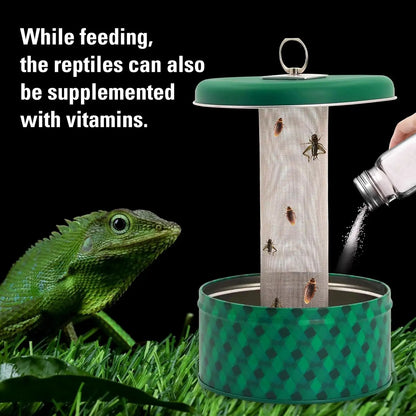 Reptile Insect Feeder Bowl