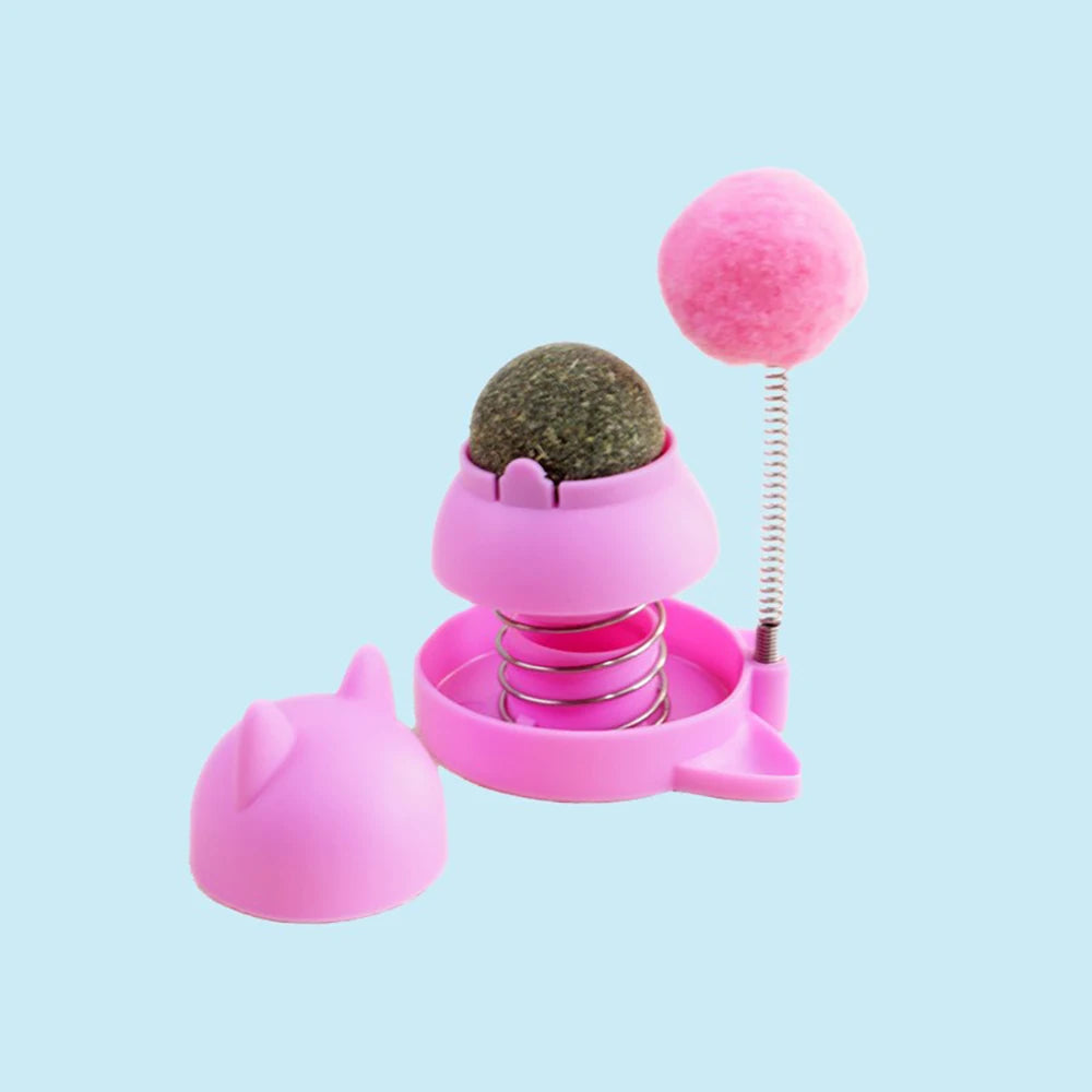 Catnip Spinning Ball Toy