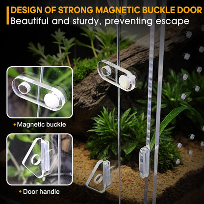 Acrylic Spider & Reptile Enclosure